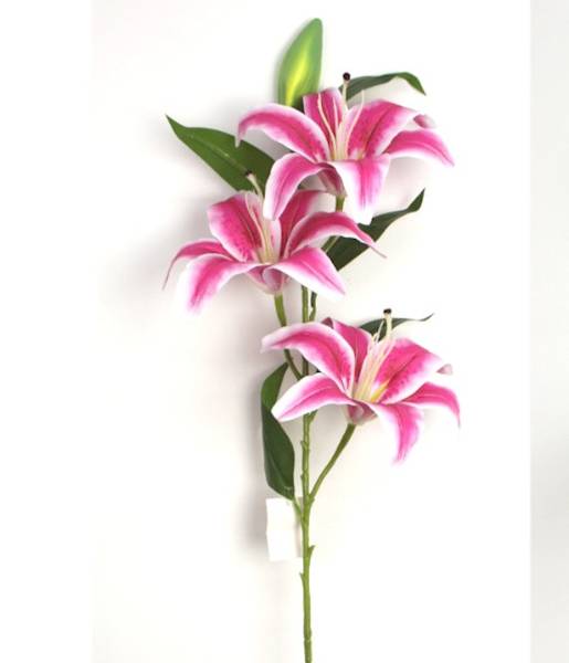 Lilia 100cm, 3 kwiaty+pąk, 2 kol biało-róż,fuksja