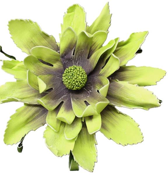 Magnolia pianka 50, kwiat 28 cm zieleń, róż