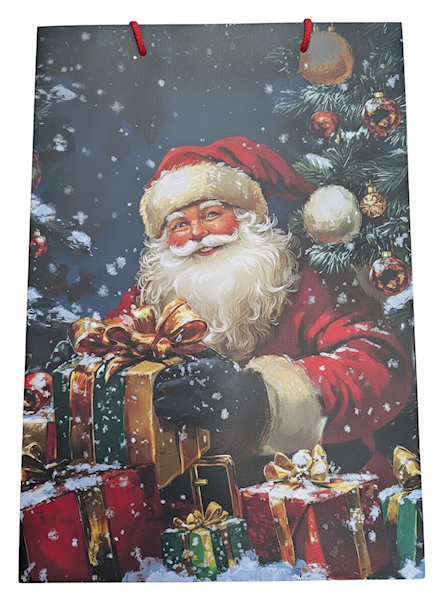 TORBA LAKIEROWANA HTY-003 32/45cm 12szt HOFFMANN