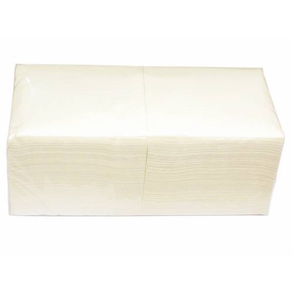 SERWETKA 2-WARSTWOWA BIAŁA Clarina 24X24 200SZT