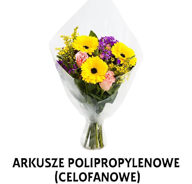 ARKUSZ POLIPROPYLENOWY 100/140cm 50szt