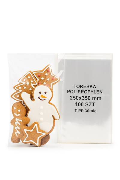 TOREBKA POLIPROPYLEN 250X350mm 100SZT