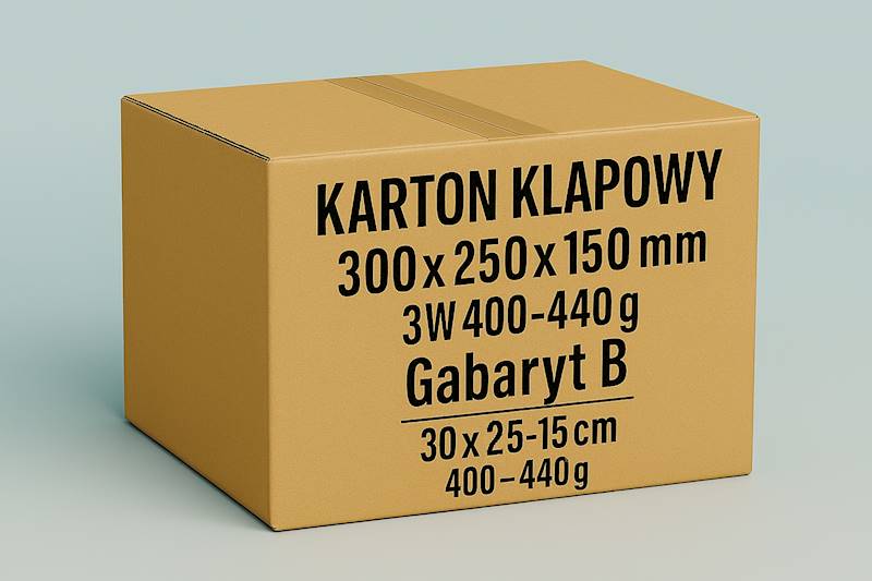 Karton Klapowy 300x250x150 3W 433g 1szt