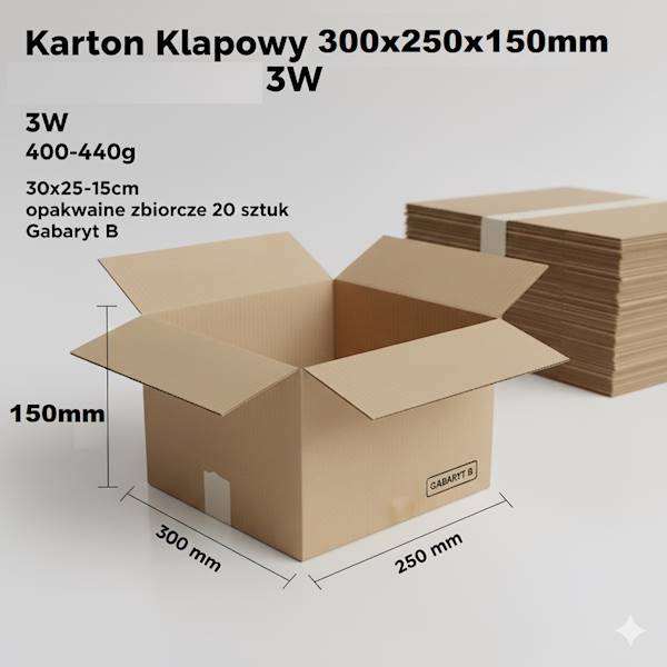 Karton Klapowy 300x250x150 3W 433g 1szt