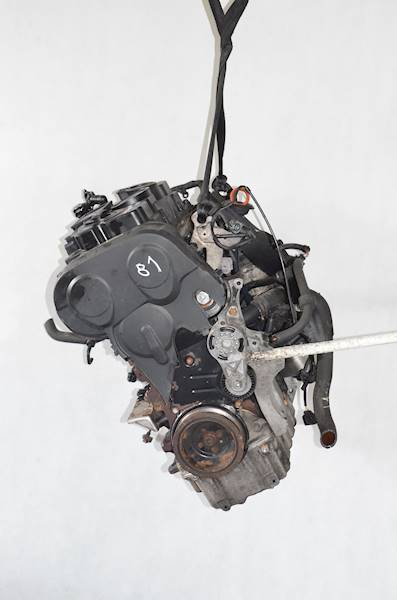 Silnik VW Golf V Passat B6 Audi A3 Skoda Octavia II 2.0 TDI 170 KM BMN BMR