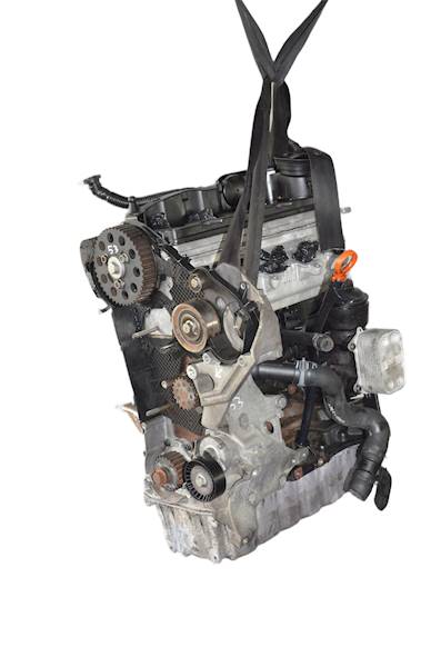 Silnik VW Golf VI Passat B6 B7 Touran Skoda Octavia Seat Leon 1.6 TDI CAY