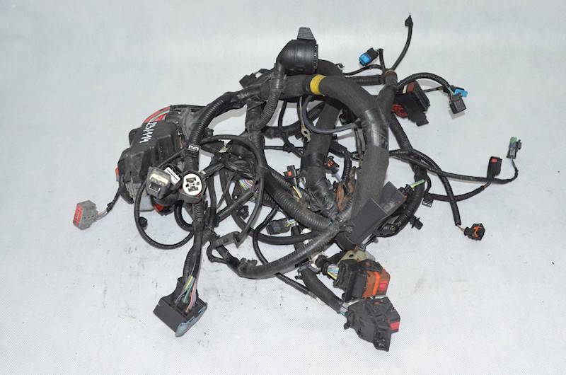 Wiązka silnika Land Rover Range Rover Evoque L538 2.2 D 224DT EJ32-12A690 