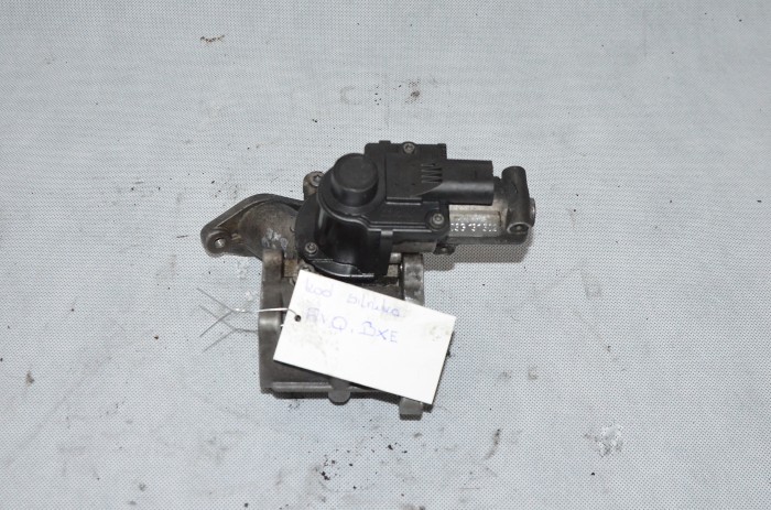 Zawór EGR VW Golf V Touran Caddy Passat B6 Jetta 1.9 TDI BXE 03G131502
