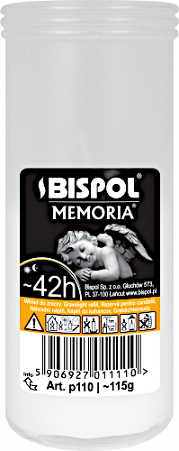 WKŁAD 110P 42H /30/  