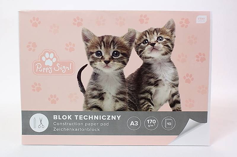 BLOK TECH A3 170G /10/ INTD 0012