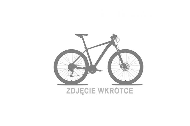 Rower Unibike Expedition /M-23/ grafitowo-czarny 2021  UNIBIKE9050760121  SEBA