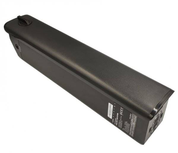 Bateria X500 LG 48V 17,5 Ah