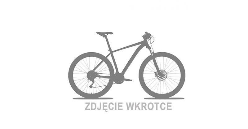 Rower Unibike Voyager/D-21/Tytanowy 9050203923