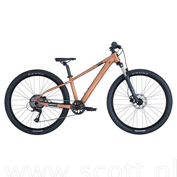 Rower Scott Roxter 600 alloy brown/one size 4252058266222