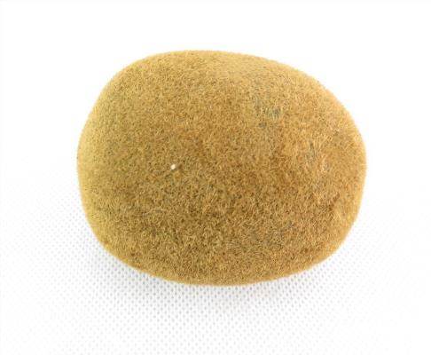 Owoc kiwi Wyprzedaż 60%