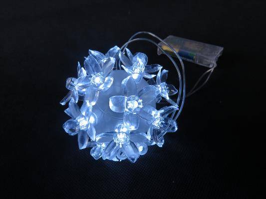 Kula led/100