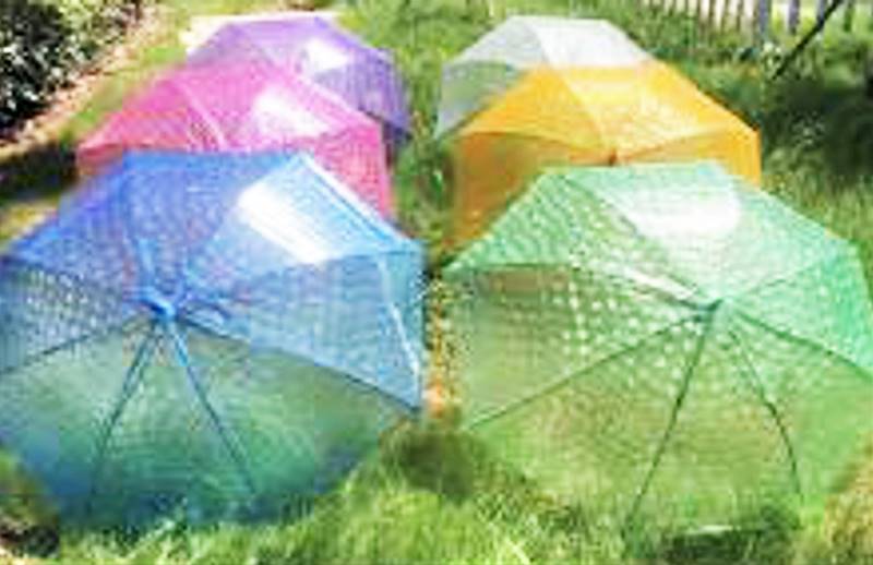 Parasol/100