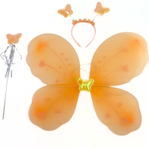 Zestaw motyl pomarańczowy/240