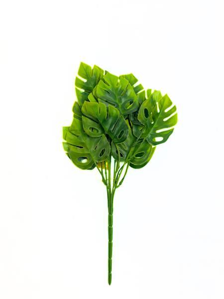 monstera bukiet