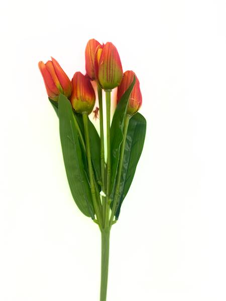 Sztuczny tulipan