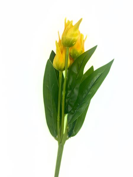 Sztuczny tulipan