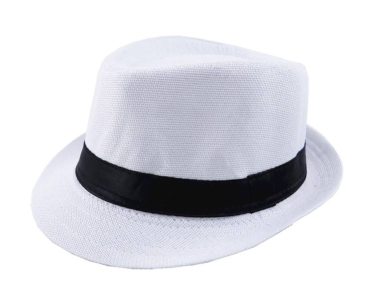 Kapelusz trilby/300