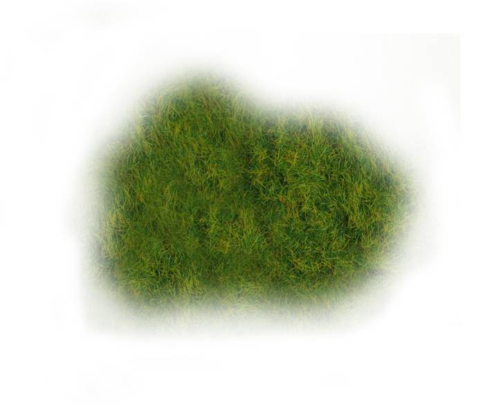 RS 0902 Posypka trawa mix 
