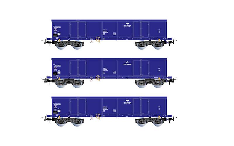Zestaw - węglarek Eaos z ład. PKP Cargo HR6536