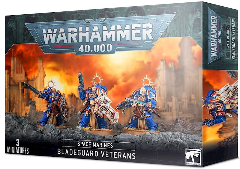 Space Marines Bladeguard Veterans (48-44)