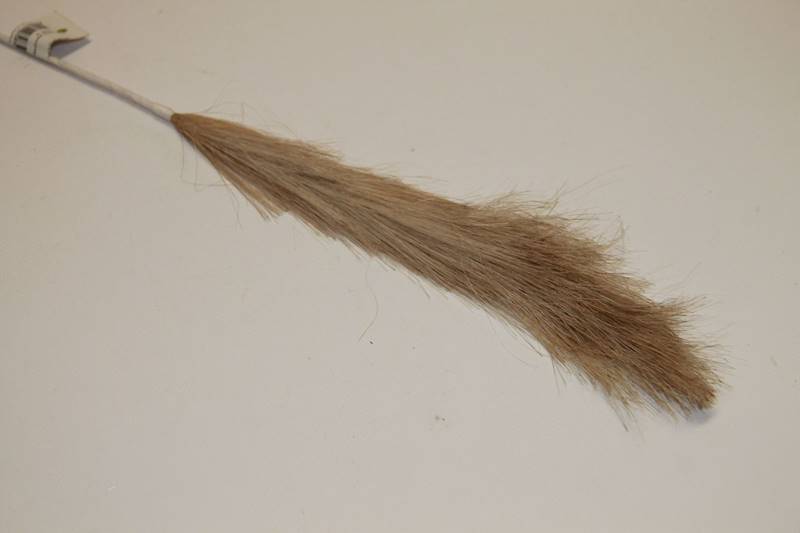 TRAWA PAMPAS BEŻOWA