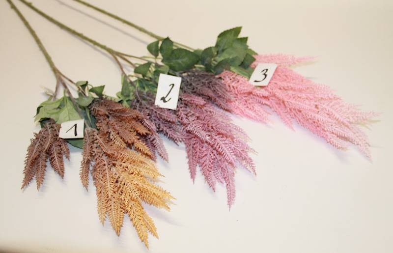 ASTILBES GAŁĄZKA MIX