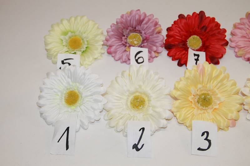 GERBERA SATYNOWA 24 SZT.