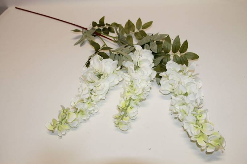 WISTERIA X3