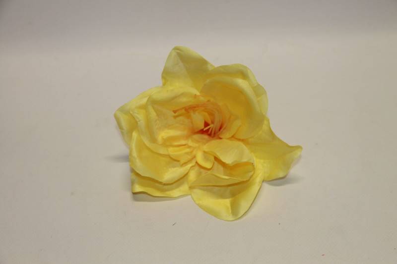 AMARYLIS WYR. • .: YELLOW