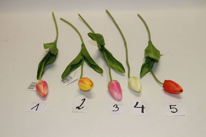 TULIPAN POJ. MIX