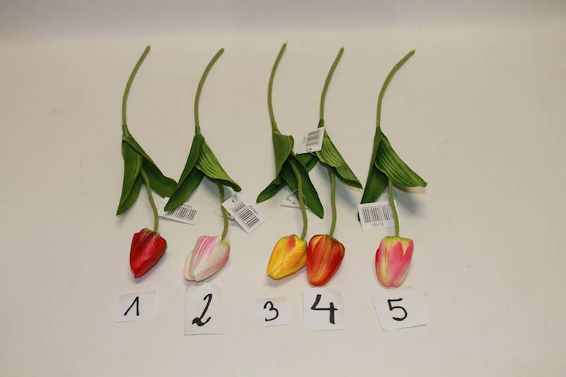 TULIPAN POJEDYNCZY MIX