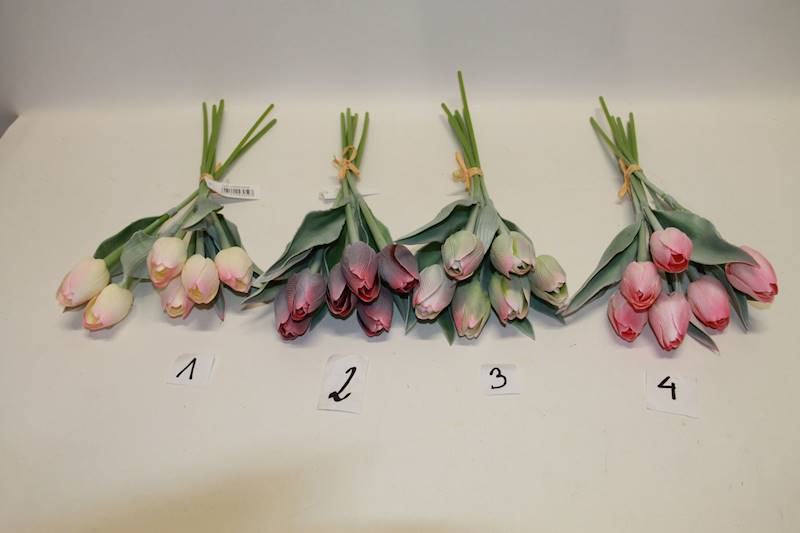 TULIPAN X6