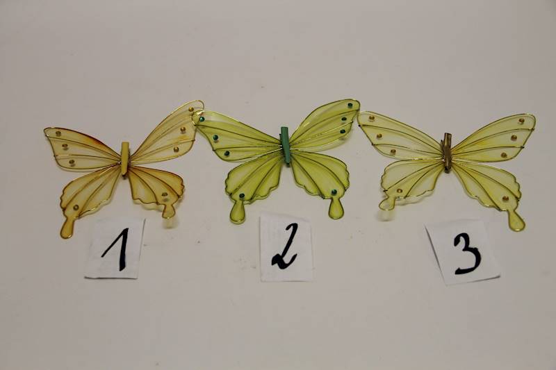 MOTYL NA KLIPSIE 