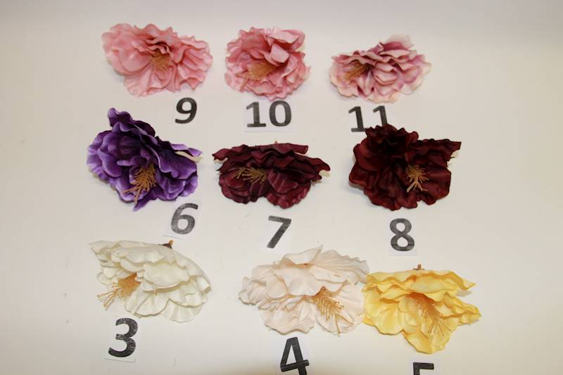 HIBISKUS WYR.