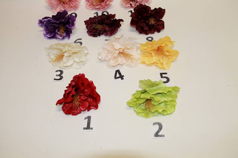 HIBISKUS WYR.