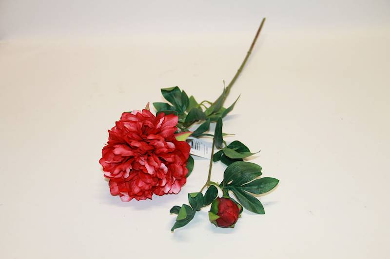 PEONIA GAŁĄZKA RED  65 CM