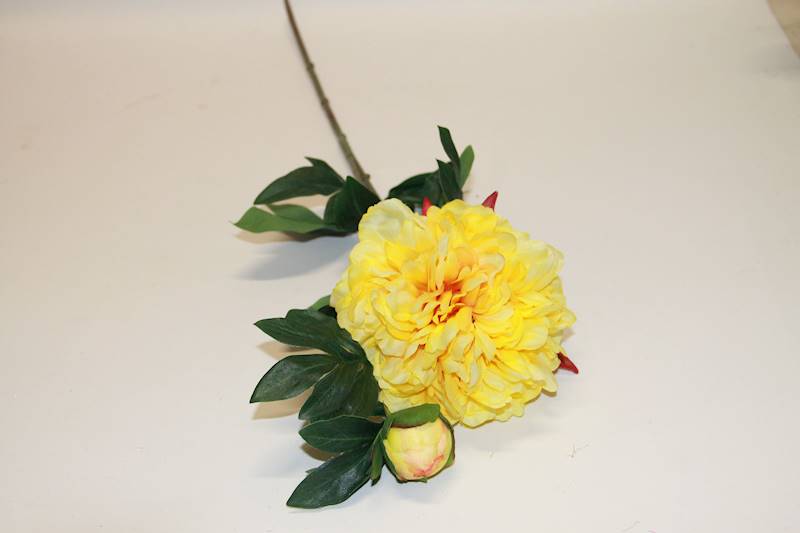 PEONIA GAŁĄZKA YELLOW  65 CM
