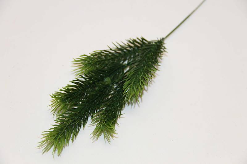 GAŁĄZKA ŚWIERK M04