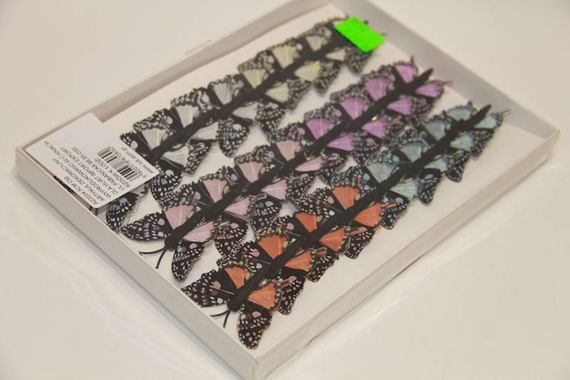 MOTYLE 5 CM KLIPS S/24