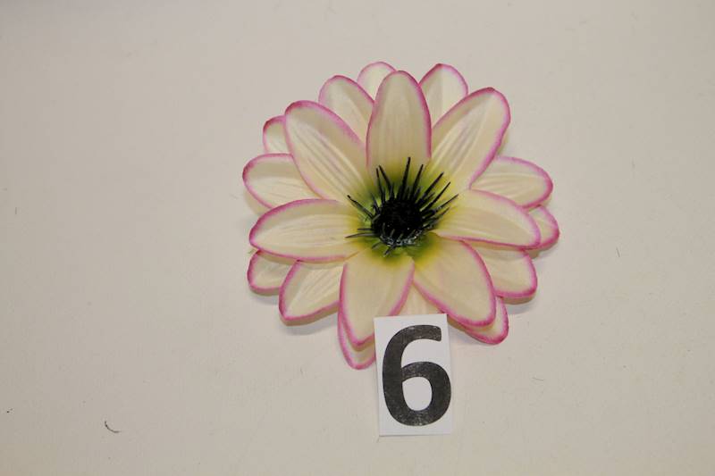ASTER WYROBOWY mix kolor