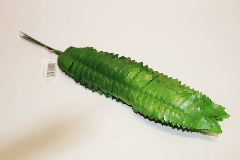 PAPROĆ LIŚĆ 43 CM