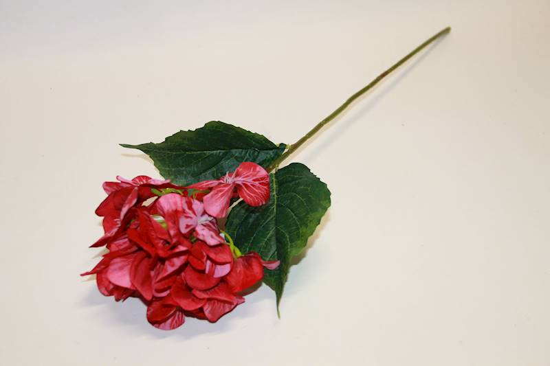 HORTENSJA GAŁ. 60CM RED