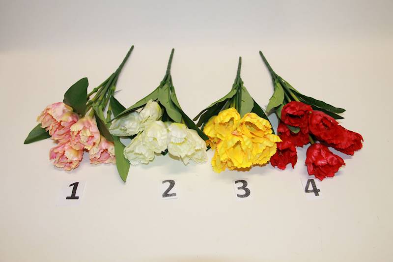 TULIPANY BIKIET X7