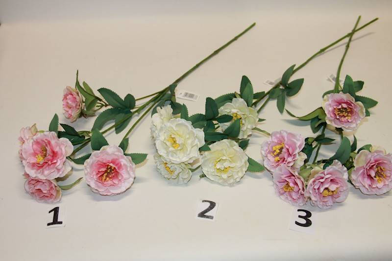 RÓŻA GARDENIA X3 KOLOR MIX