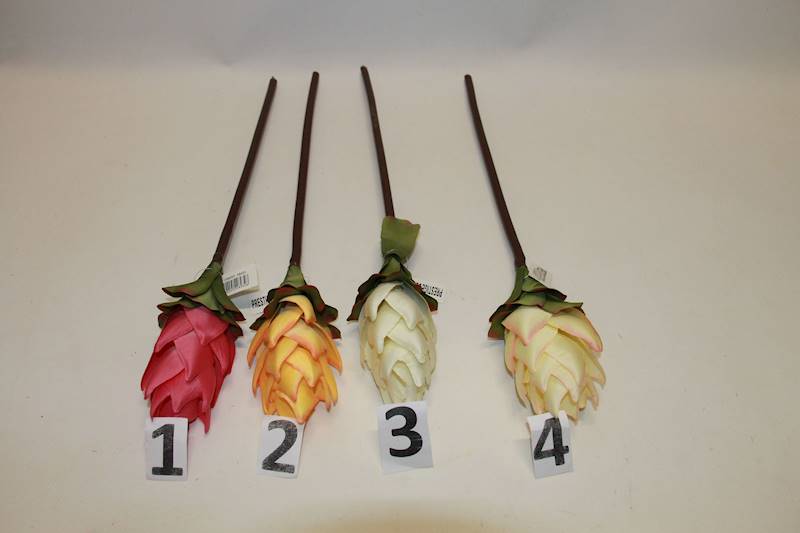 KURKUMA / PROTEA